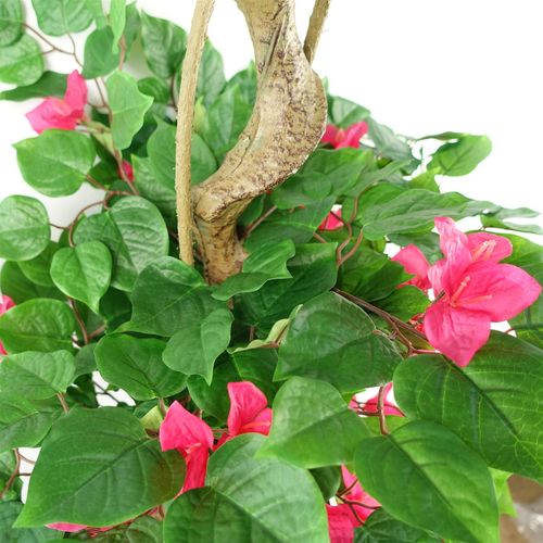 Elegant 150cm Japanese Silk Bougainvillea Tree - Lush Indoor Décor - plants - express.com