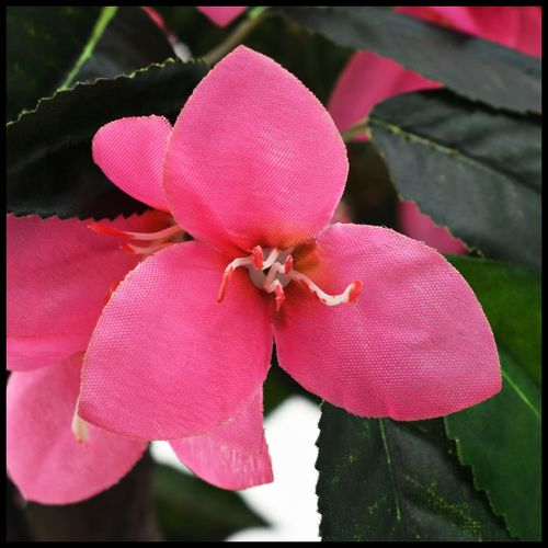 Elegant 155 cm Artificial Rhododendron Plant in Stylish Pot - Green & Pink - plants - express.com