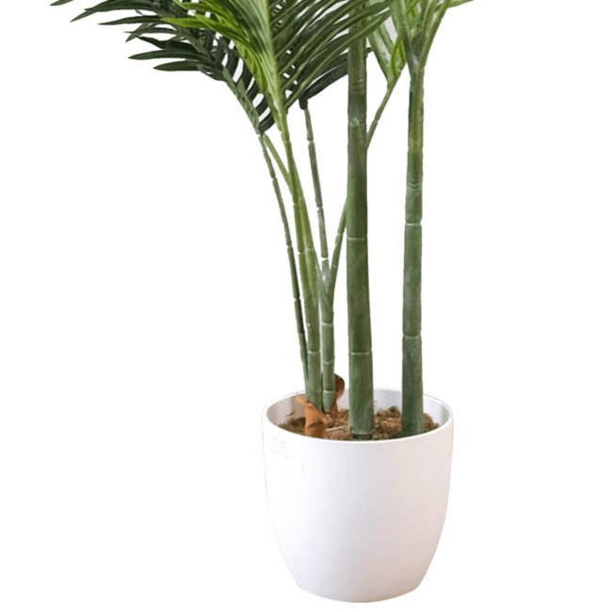 Elegant 160cm Artificial Palm Tree in Modern White Pot - No Maintenance Needed! - plants - express.com
