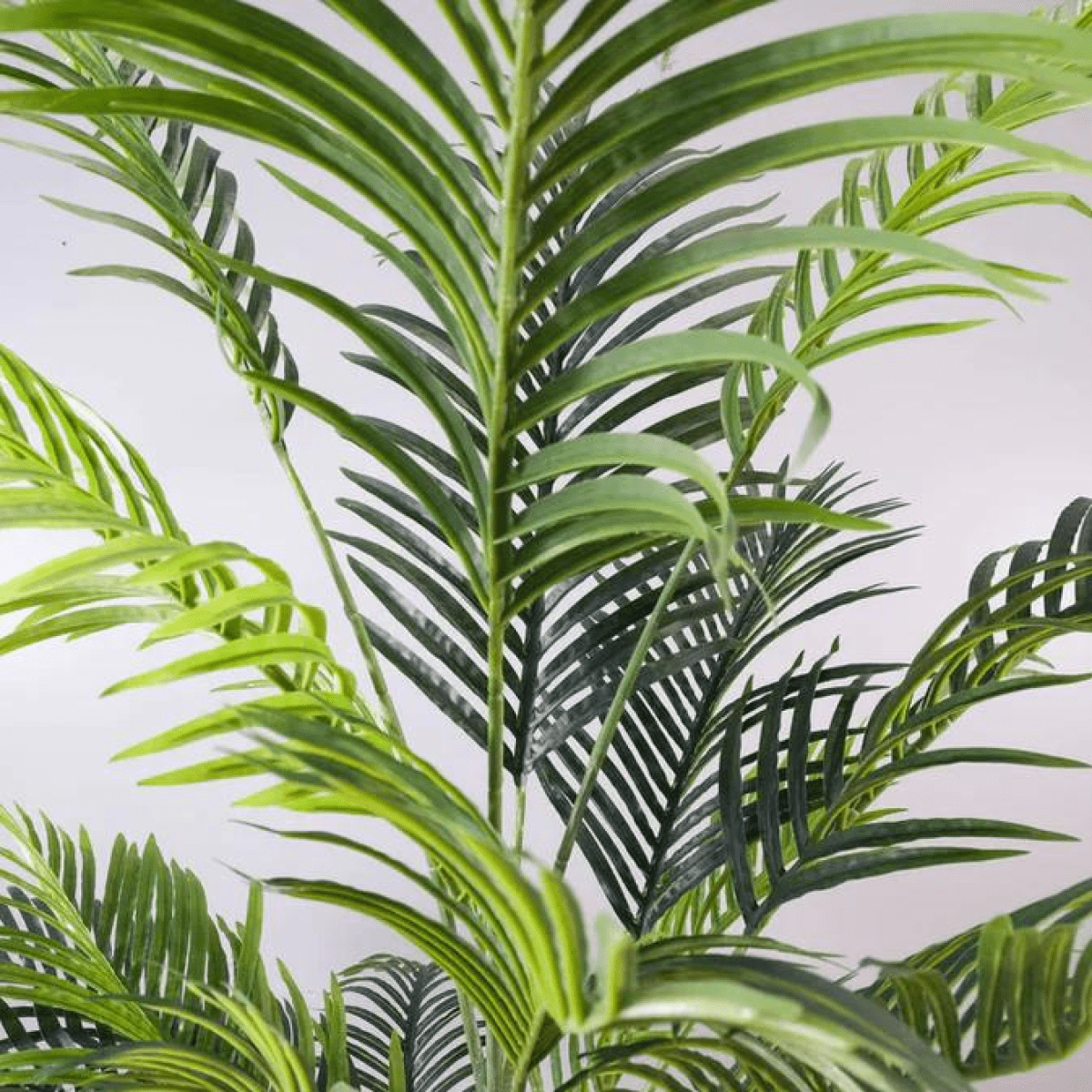 Elegant 160cm Artificial Palm Tree in Modern White Pot - No Maintenance Needed! - plants - express.com