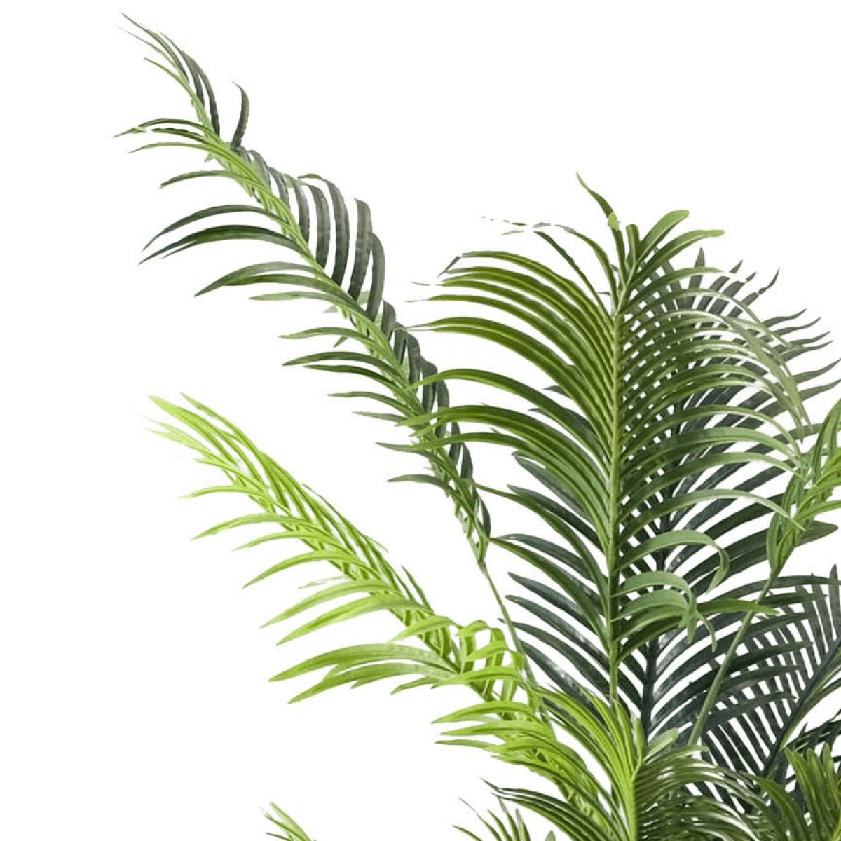 Elegant 160cm Artificial Palm Tree in Modern White Pot - No Maintenance Needed! - plants - express.com
