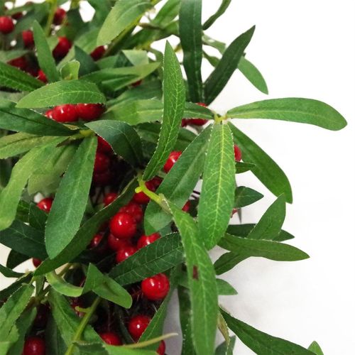 Elegant 24" Luxury Mistletoe & Berry Wreath - Perfect for Holiday Décor! - plants - express.com