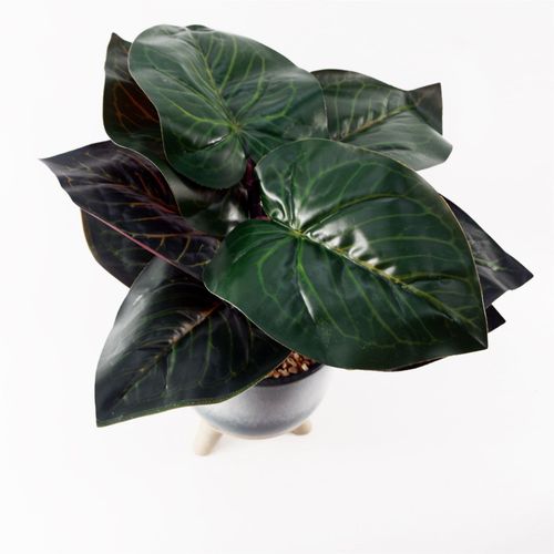 Elegant 35cm Artificial Ficus in Teal Ceramic Planter - Low Maintenance Delight! - plants - express.com
