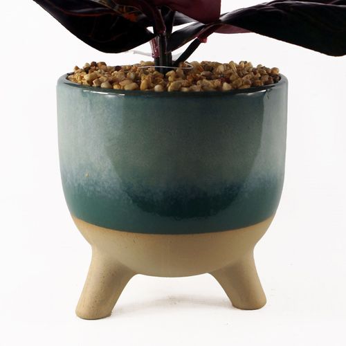 Elegant 35cm Artificial Ficus in Teal Ceramic Planter - Low Maintenance Delight! - plants - express.com
