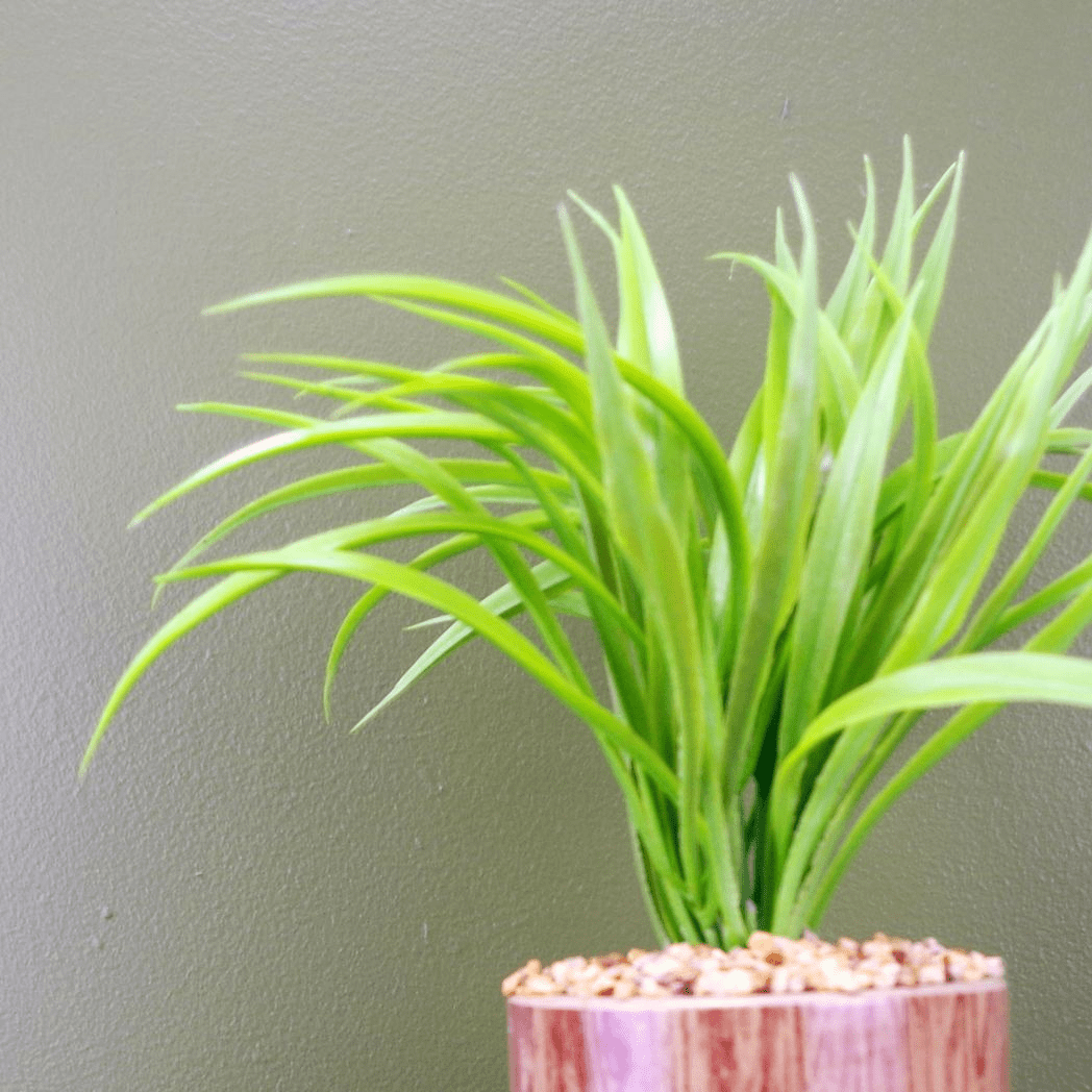 Elegant 35cm Artificial Grass Plant in Modern Ceramic Planter & Metal Stand - plants - express.com