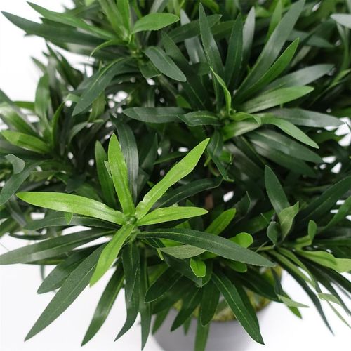 Elegant 40cm Artificial Podocarpus Bush - Lush Leaves, Realistic Design! - plants - express.com