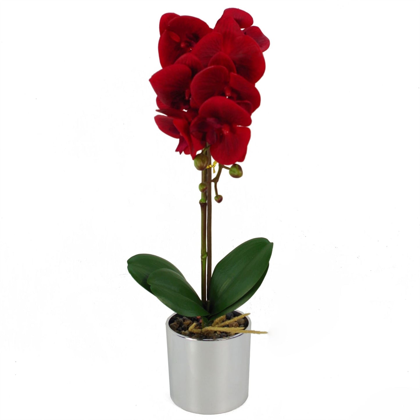 Elegant 46cm Red Artificial Orchid in Stylish Silver Pot – Lifelong Beauty! - plants - express.com