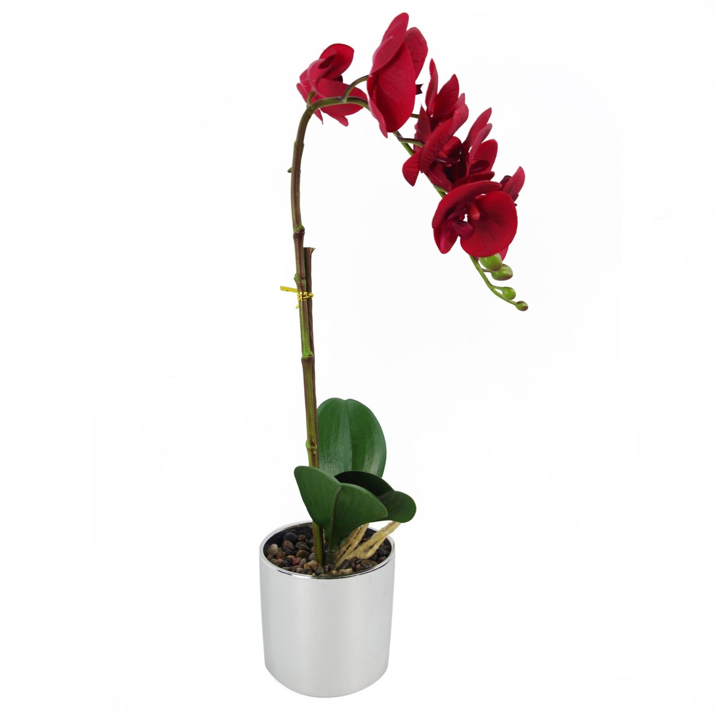 Elegant 46cm Red Artificial Orchid in Stylish Silver Pot – Lifelong Beauty! - plants - express.com