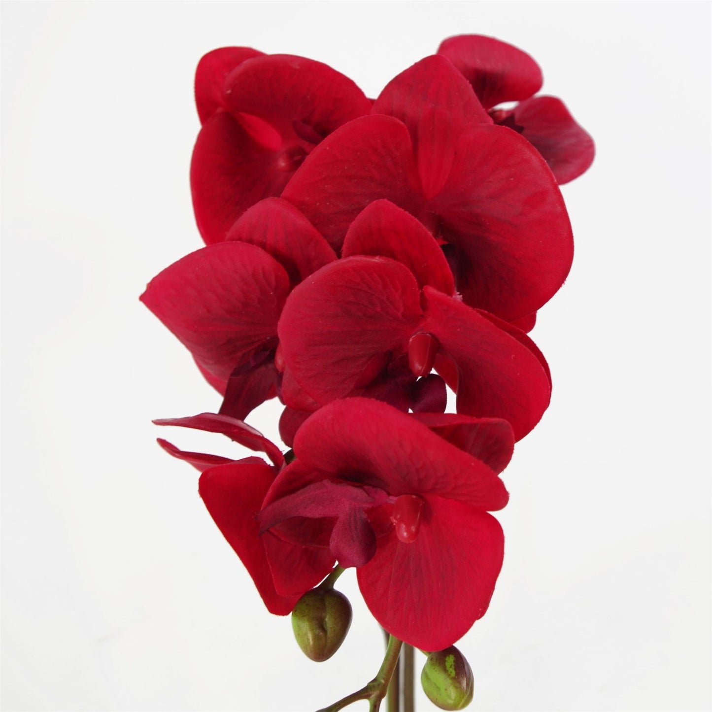 Elegant 46cm Red Artificial Orchid in Stylish Silver Pot – Lifelong Beauty! - plants - express.com