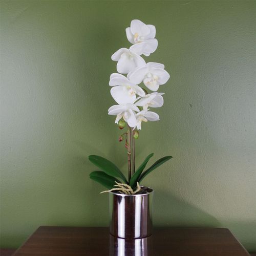 Elegant 46cm White Artificial Orchid in Stylish Silver Pot - Real Touch Beauty! - plants - express.com