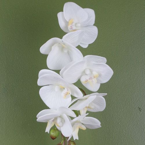 Elegant 46cm White Artificial Orchid in Stylish Silver Pot - Real Touch Beauty! - plants - express.com