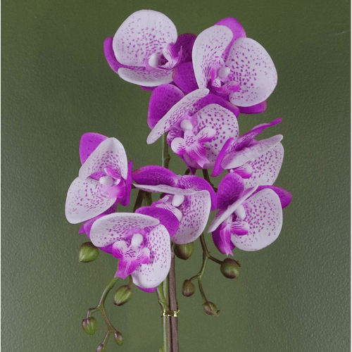 Elegant 50cm Artificial Phalaenopsis Orchid in Luxurious Gold Pot - plants - express.com