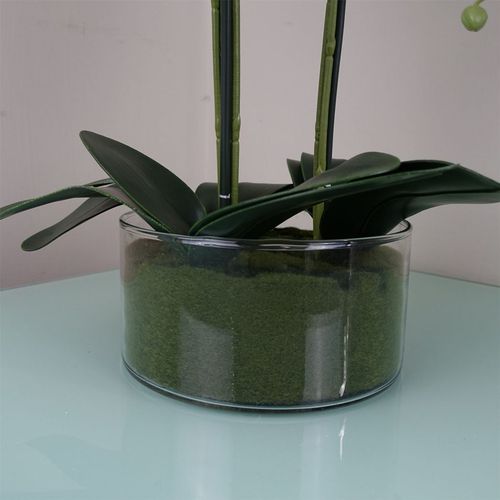 Elegant 50cm Pink Artificial Orchid in Luxurious Glass Planter - plants - express.com