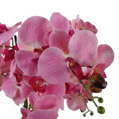 Elegant 50cm Pink Artificial Orchid in Luxurious Glass Planter - plants - express.com