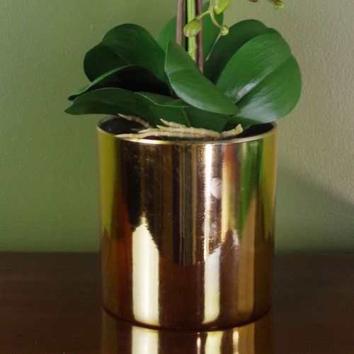 Elegant 52cm White & Gold Artificial Orchid - Luxe Real Touch Home Décor - plants - express.com