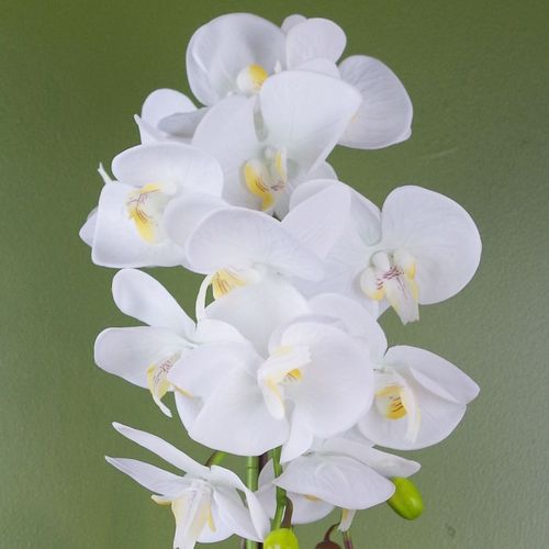 Elegant 52cm White & Gold Artificial Orchid - Luxe Real Touch Home Décor - plants - express.com