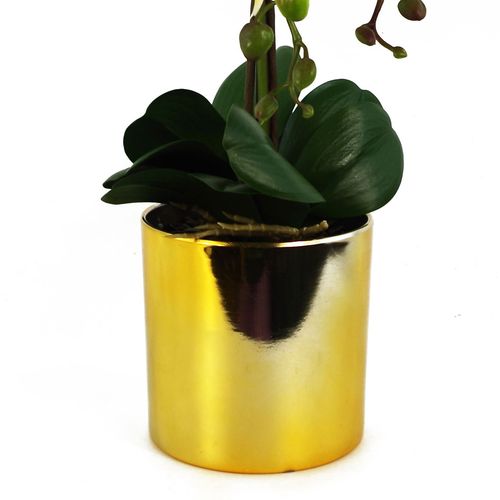 Elegant 52cm White & Gold Artificial Orchid – Real Touch, Perfectly Potted! - plants - express.com