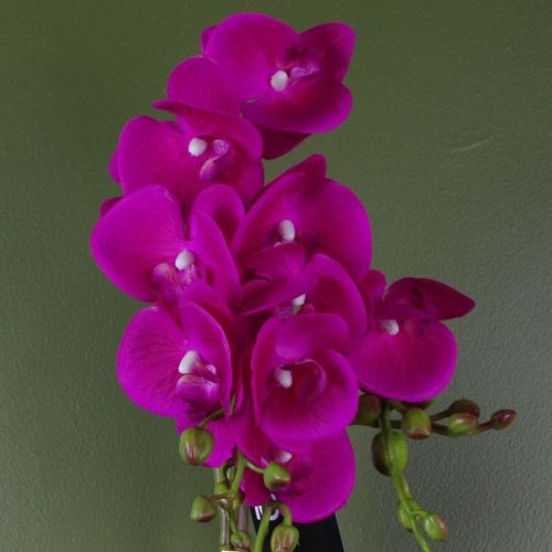 Elegant 54cm Dark Pink Artificial Orchid in Gold Decorative Pot - plants - express.com