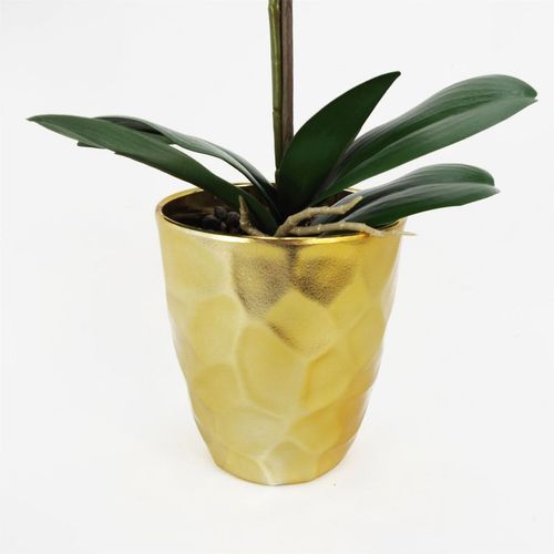 Elegant 54cm Dark Pink Orchid in Stylish Gold Pot - Realistic Touch Design - plants - express.com