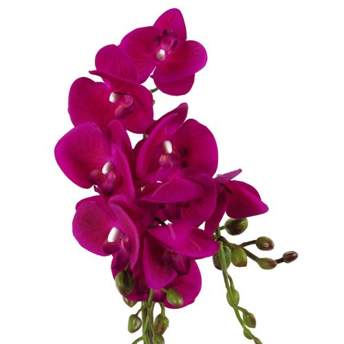 Elegant 54cm Dark Pink Orchid in Stylish Gold Pot - Realistic Touch Design - plants - express.com
