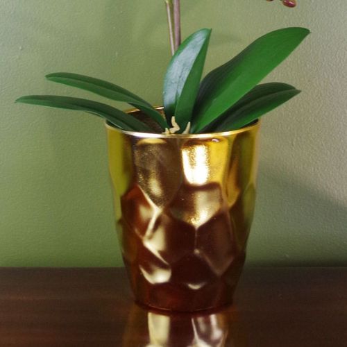 Elegant 54cm White Artificial Orchid in Gold Pot - Lifelike Floral Decoration - plants - express.com
