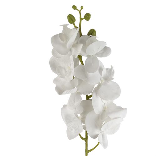 Elegant 6 - Pack 100cm Artificial White Phalaenopsis Orchid Stems for Arrangements - plants - express.com