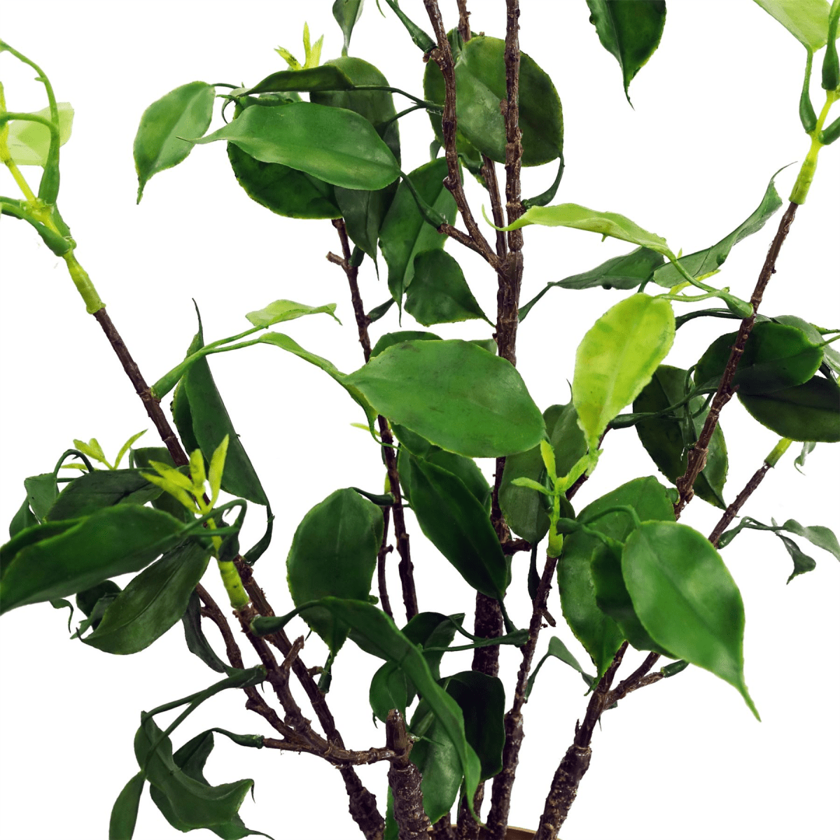 Elegant 60cm Realistic Artificial Banyan Bonsai Ficus Tree for Sophisticated Decor - plants - express.com