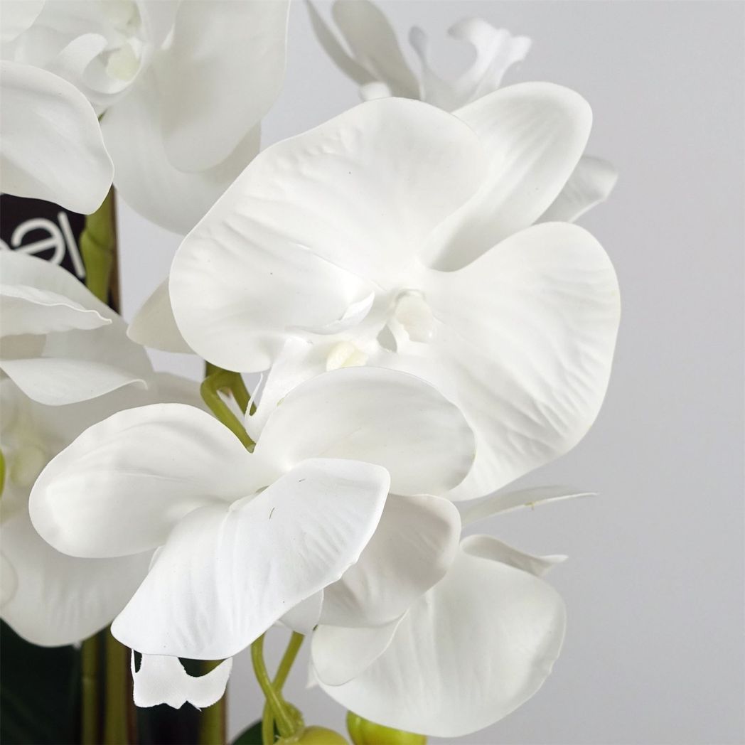 Elegant 60cm White Artificial Orchid in Stylish Ceramic Bubble Planter - plants - express.com