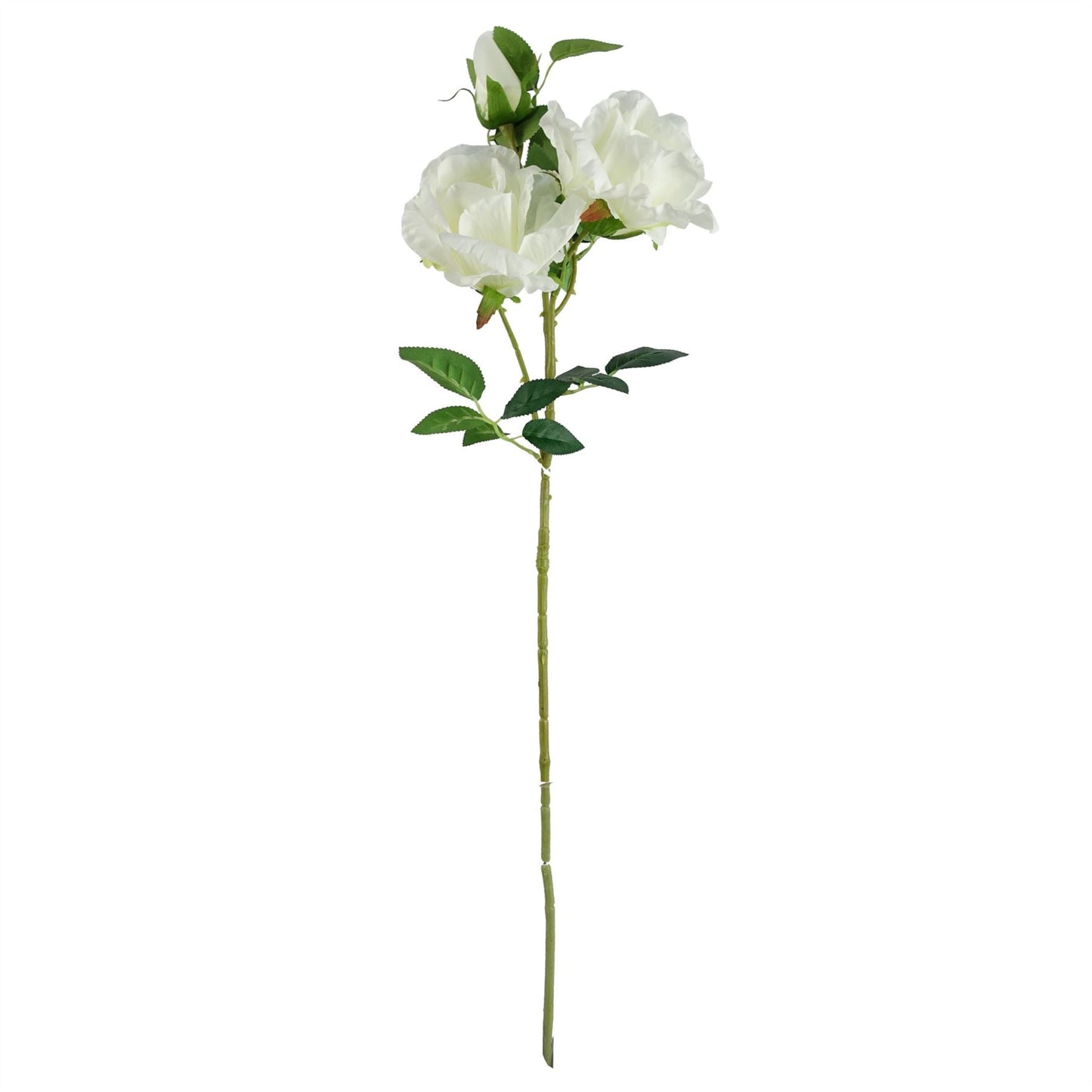 Elegant 60cm White Rose & Purple Starflower Arrangement with Glass Vase - plants - express.com