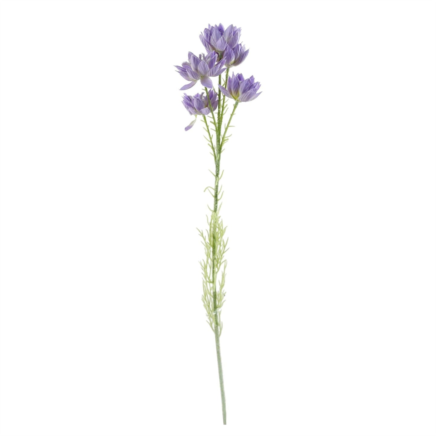 Elegant 60cm White Rose & Purple Starflower Arrangement with Glass Vase - plants - express.com