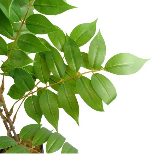 Elegant 65cm Toona Sinensis Artificial Plant - No Maintenance, Instant Oasis - plants - express.com