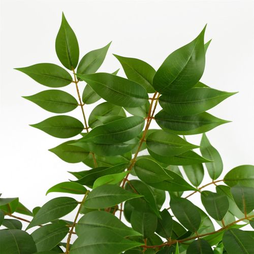 Elegant 65cm Toona Sinensis Artificial Plant - No Maintenance, Instant Oasis - plants - express.com