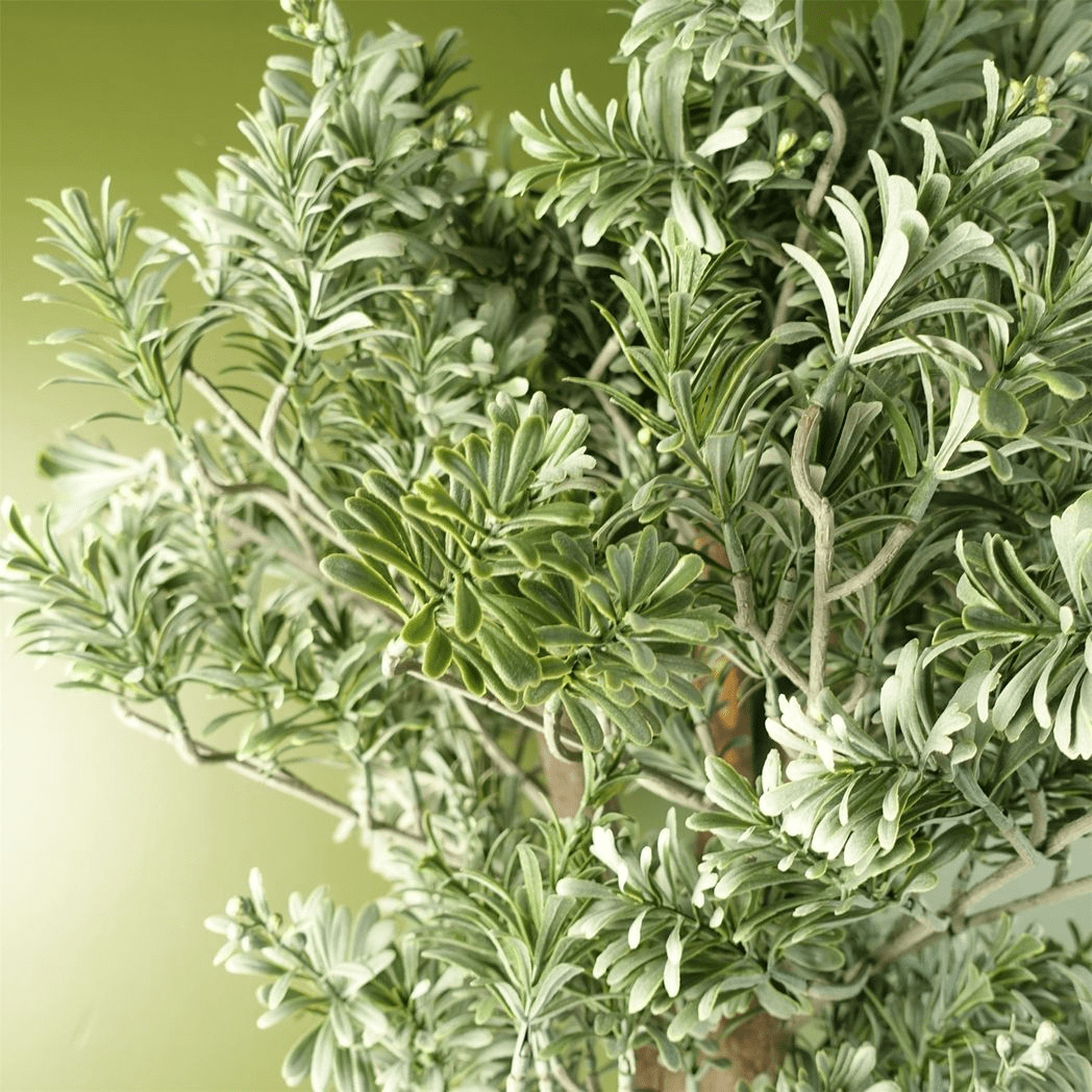 Elegant 70cm Artificial Artemisa Evergreen Shrub - Perfect Home Decor! - plants - express.com