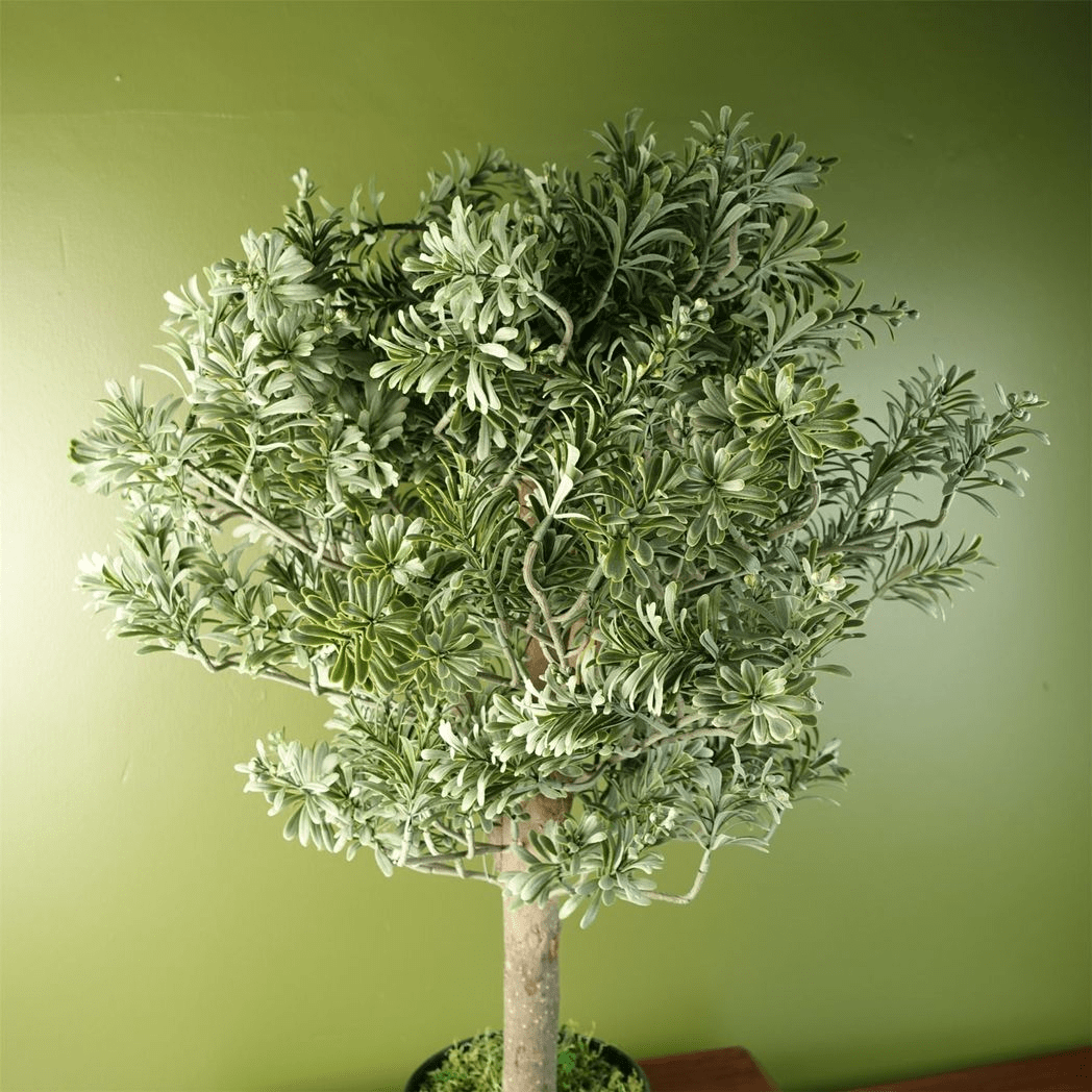 Elegant 70cm Artificial Artemisa Evergreen Shrub - Perfect Home Decor! - plants - express.com