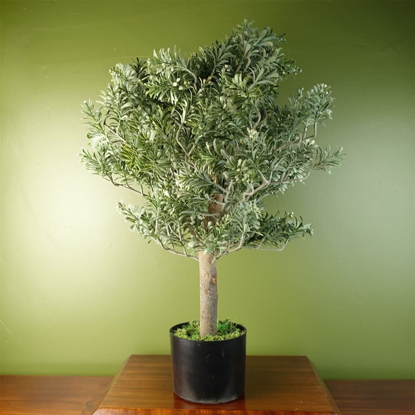 Elegant 70cm Artificial Artemisa Evergreen Shrub - Perfect Home Decor! - plants - express.com