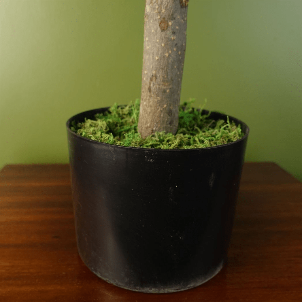 Elegant 70cm Artificial Artemisa Evergreen Shrub - Perfect Home Decor! - plants - express.com