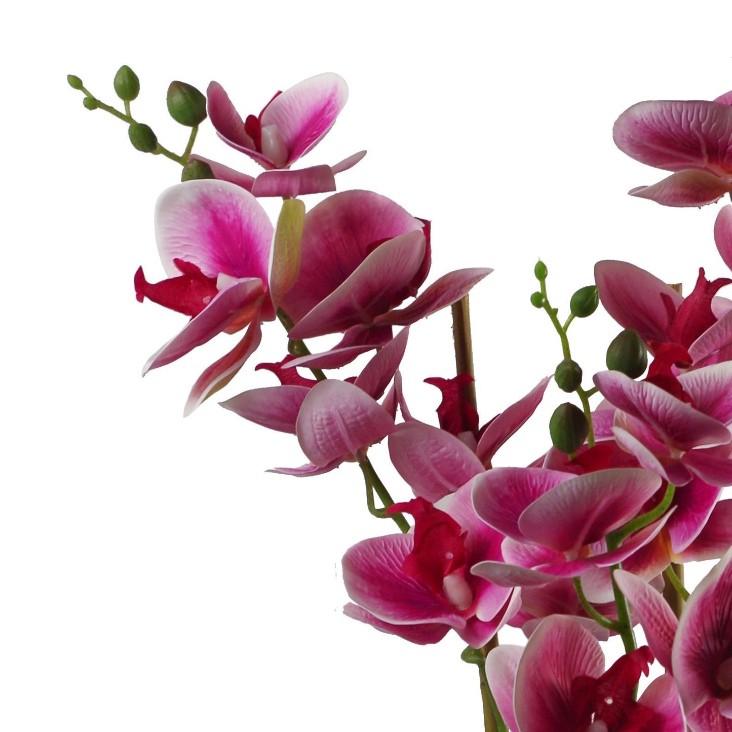 Elegant 70cm Dark Pink Artificial Orchid in Sleek Black Ceramic Planter - plants - express.com