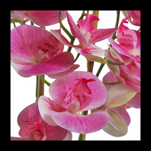 Elegant 70cm Light Pink Artificial Orchid in Black Ceramic Planter - plants - express.com