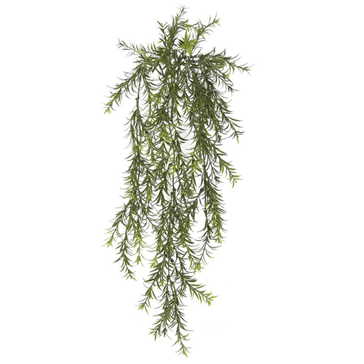 Elegant 78cm UV & Fire Resistant Hanging Spider Fern - Lush Greenery Anywhere! - plants - express.com