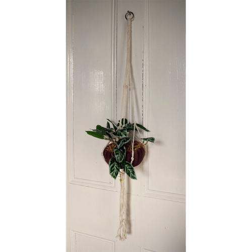 Elegant 85cm Hanging Artificial Pothos Plant with Chic Ceramic Planter - plants - express.com