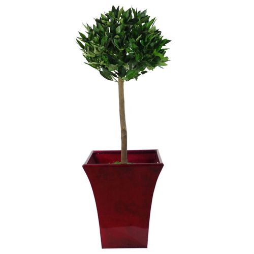 Elegant 90cm Artificial Bay Laurel Topiary Ball Trees - Perfect Home Accent! - plants - express.com
