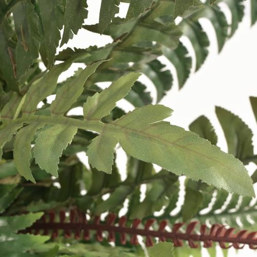 Elegant 90cm Artificial Sansevieria Fern Plant in Natural Wood Pot - plants - express.com