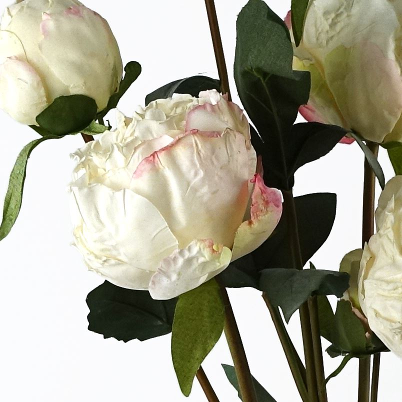 Elegant Cream Peony Artificial Flower Stems - 24 Blooms & 18 Buds Bundle - plants - express.com