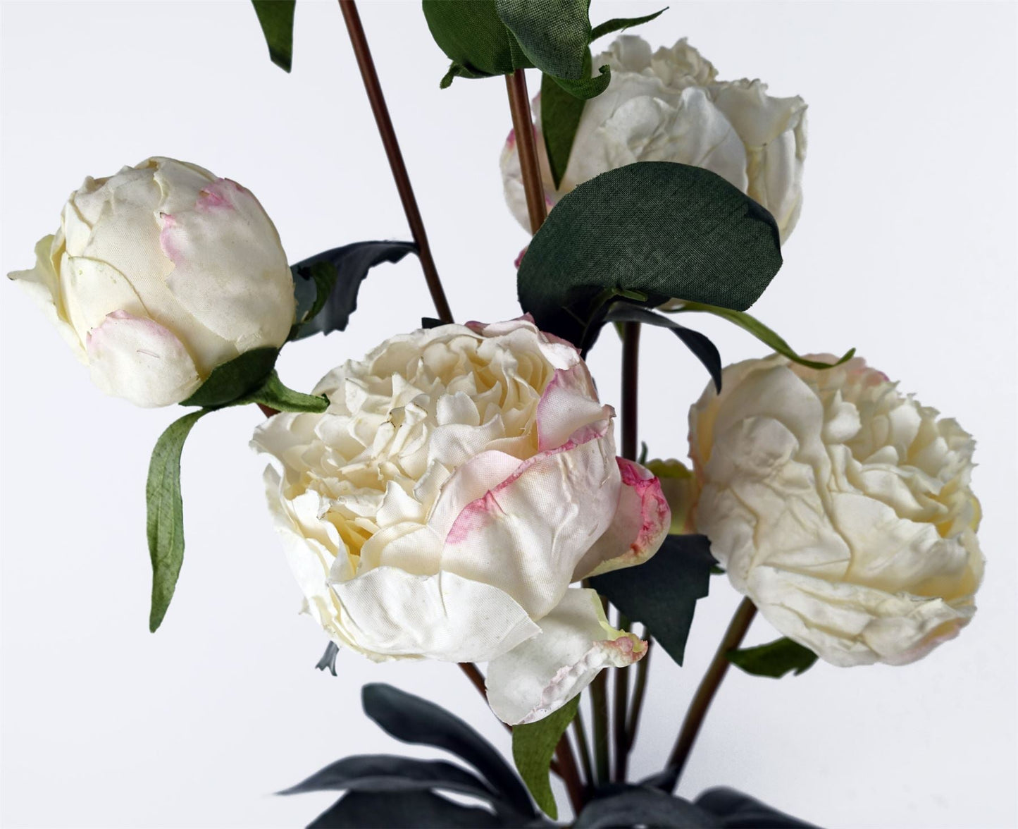 Elegant Cream Peony Artificial Flower Stems - 24 Blooms & 18 Buds Bundle - plants - express.com