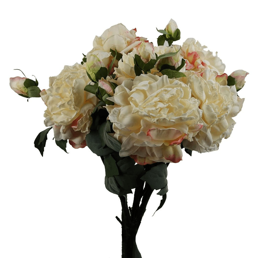 Elegant Cream Peony Stems - Set of 6 with 18 Buds for Stunning Arrangements - plants - express.com