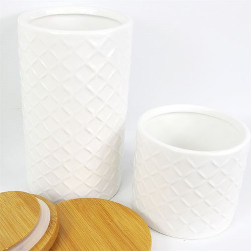 Elegant Duo: Embossed Cream Ceramic Canisters with Bamboo Lids - plants - express.com