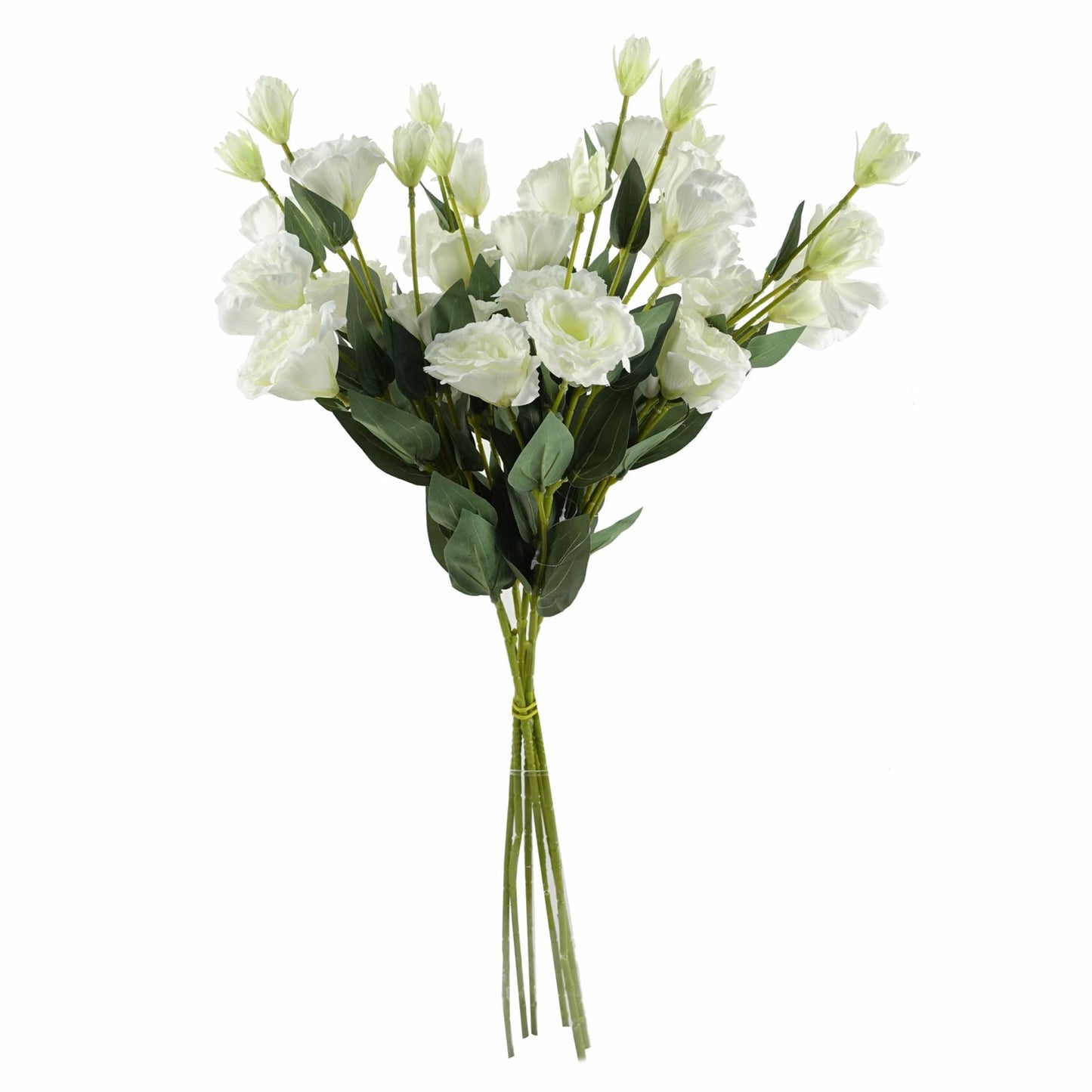 Elegant Pack of 6 White Wild Rose Stems - Perfect for Stunning Arrangements! - plants - express.com