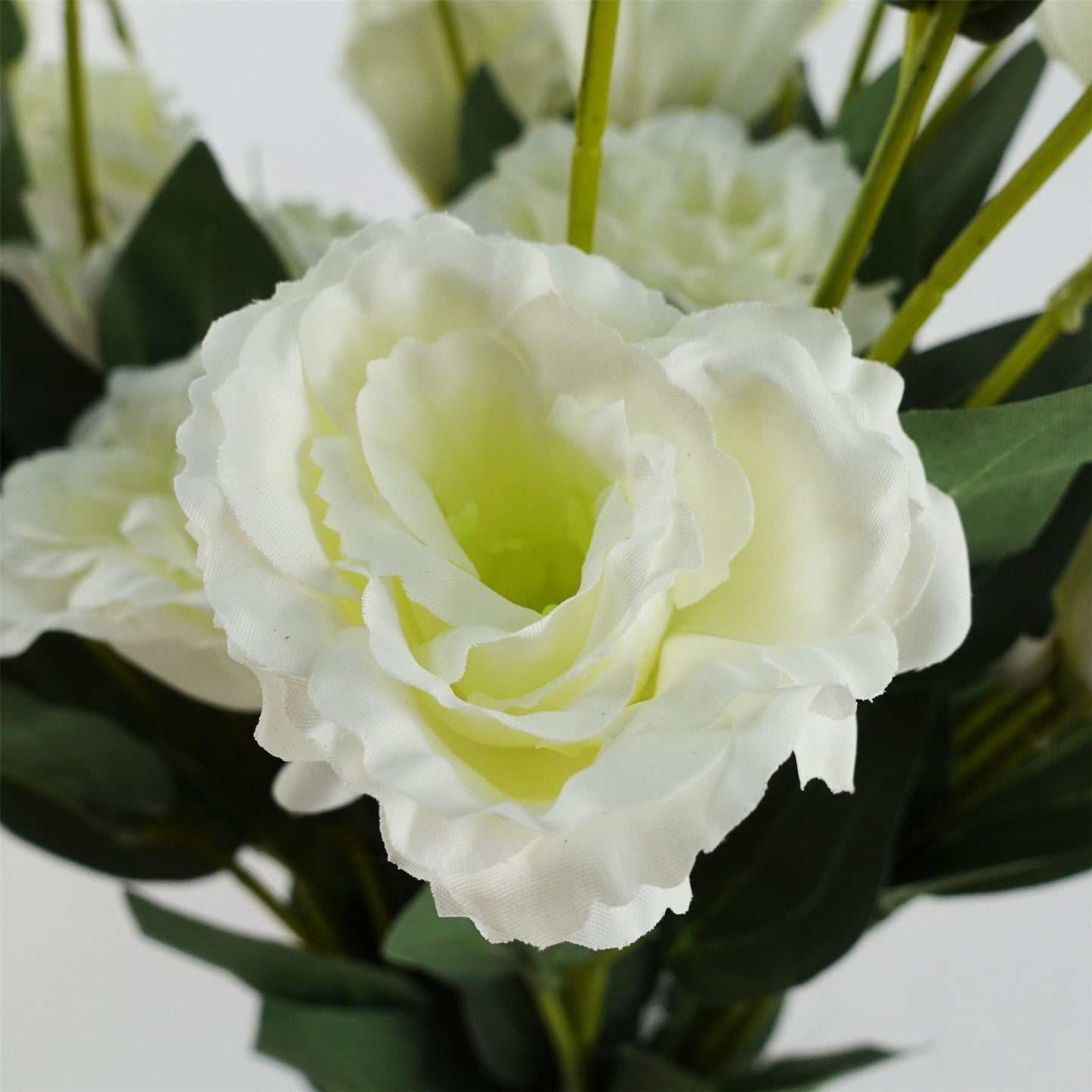 Elegant Pack of 6 White Wild Rose Stems - Perfect for Stunning Arrangements! - plants - express.com