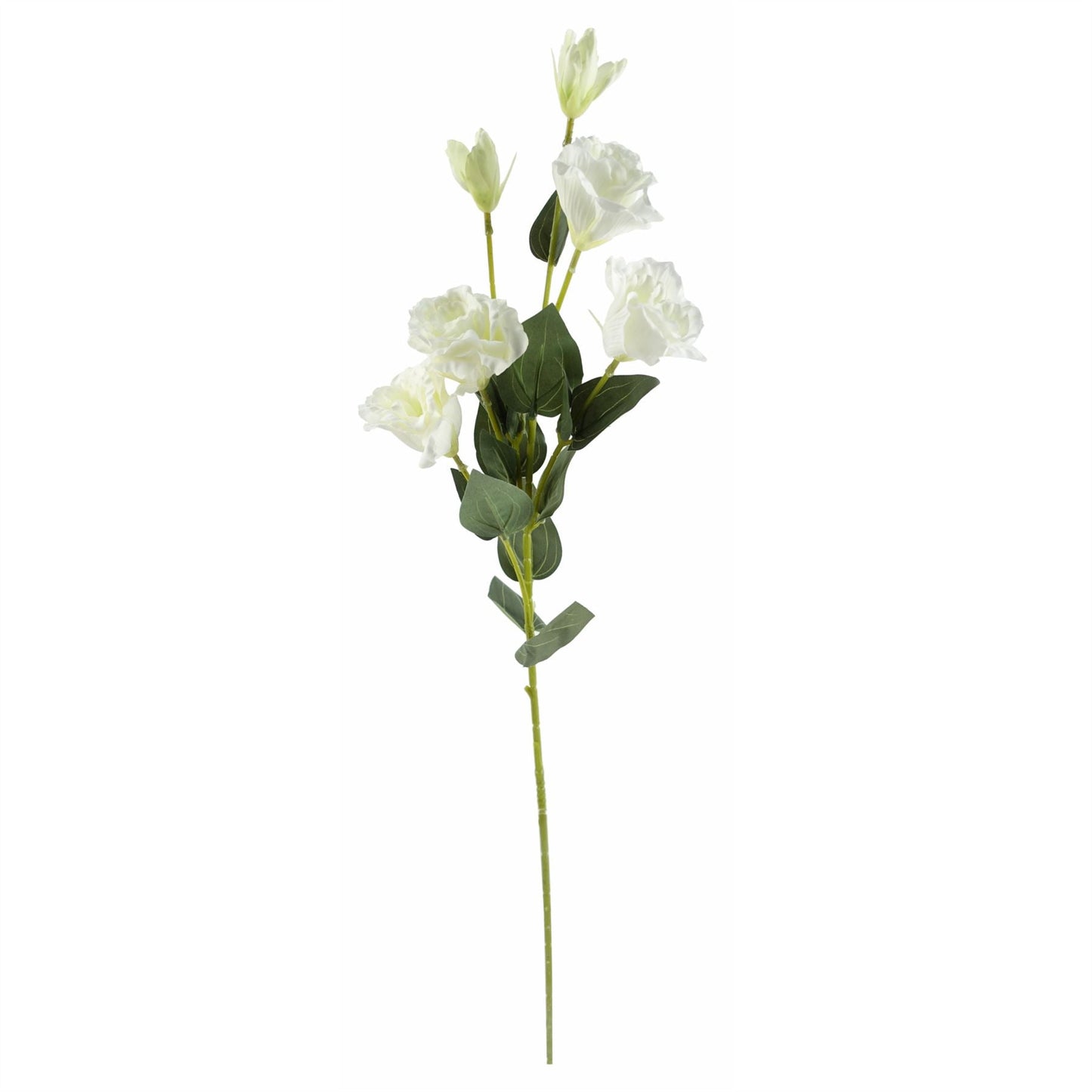 Elegant Pack of 6 White Wild Rose Stems - Perfect for Stunning Arrangements! - plants - express.com
