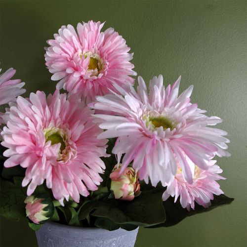 Elegant Pink Potted Daisy: Luxurious Artificial Floral Arrangement - plants - express.com